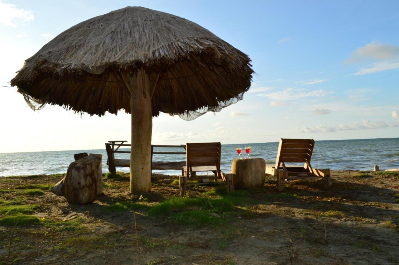Palmar Del Viento *