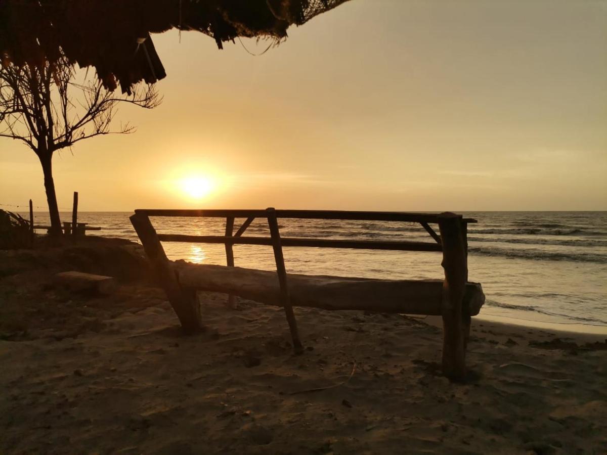 Palmar Del Viento Monitos