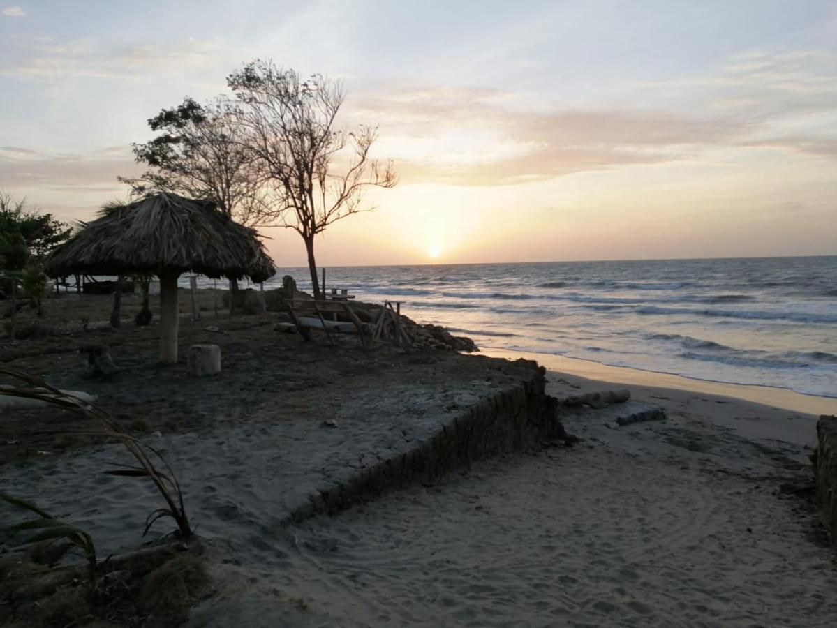 Palmar Del Viento *